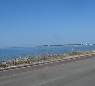 Auf dem Weg zum Strand