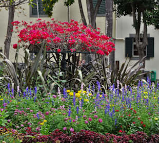 Impressionen aus dem Stadtpark von Funchal