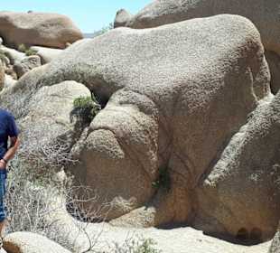 Die vielfältigen Granitformationen  im Park