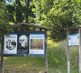 Waldwipfelweg St Englmar