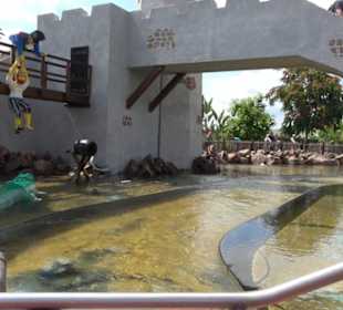 Land der Piraten - Käpt´n Nicks Piratenschlacht