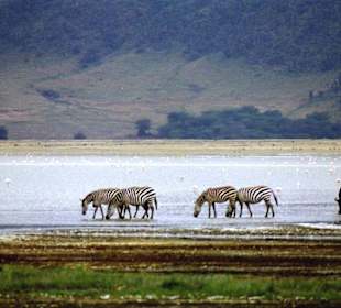 Ngorongoro Krater