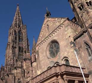 Freiburger Münster