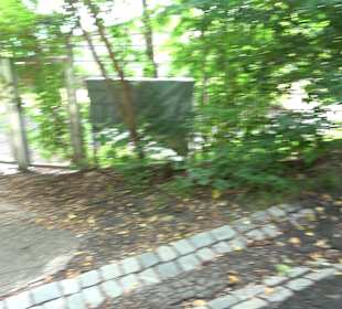 Aussichtspunkt Hasenberganlage