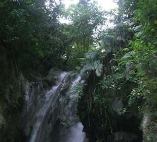 Dschungel - Trekking