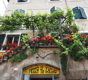Malcesine