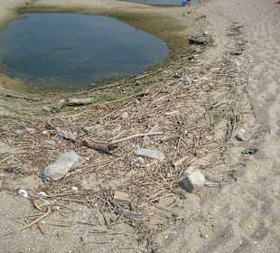 Müll und Kloake
