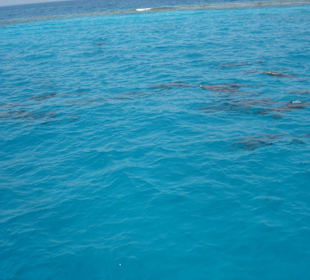 Wunderschöner Ausflug mit SimSim Reisen