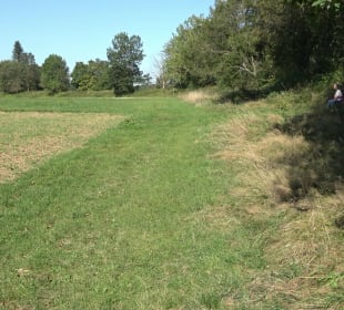 Elsachstadt Tor F Burrenhof Erkenbrechtsweiler