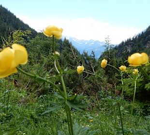 Wandern Ramsau am Dachstein