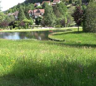 Wanderung Klosterquelle Klosterreichenbach