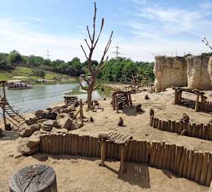Pawian Insel