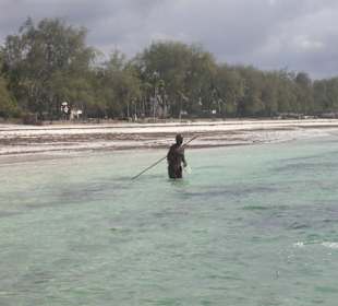 Ausflug Glasbodenboot Diani Beach
