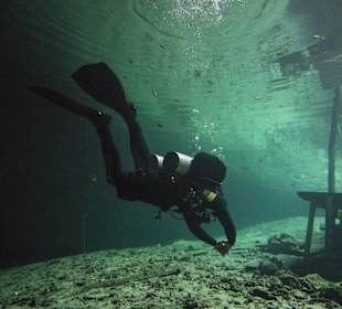 Grottentauchen Cenote Dreamsgate