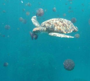 Alle Bilder an einem Tag!