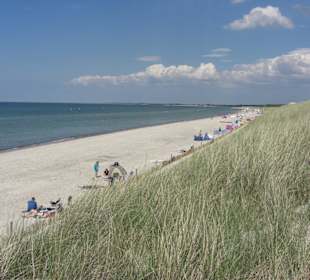 Strand- und Dünenlandschaft