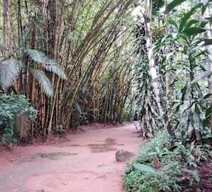 Cachoeira da Pedra Branca