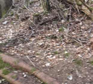 Wanderweg Hochgehswiggert