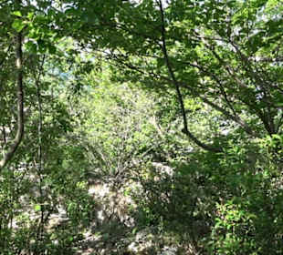 Premiumwanderweg "hochgelegen"