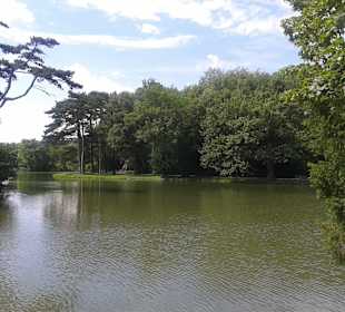 Blick von der Terrasse des Restaurants