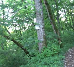 Burgruine Andeck Talheim