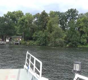 Fähre zur Pfaueninsel