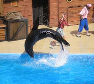 Clyde und Seamore Show