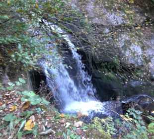 Triberger Wasserfälle