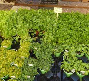 Am Samstag ist zusätzlich der Bauernmarkt