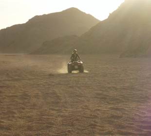 Spaß mit dem Quad