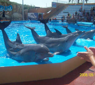 Marineland Ausflug