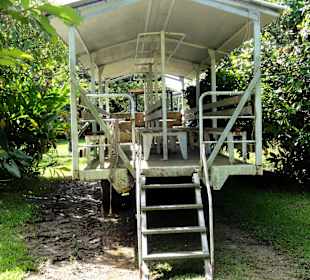 Rundfahrt durch die Plantage