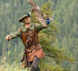 Falkenschau auf der Burg "Hohen Werfen"