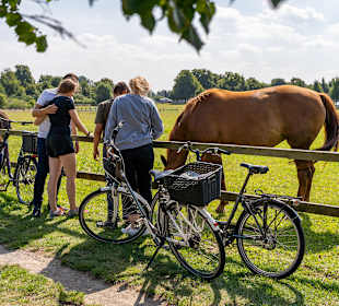 Wandern Diedrichshagen