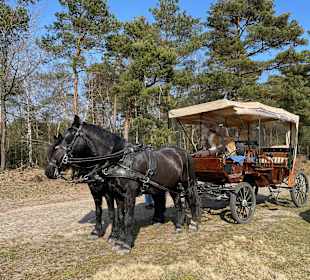 Wandern Egestorf