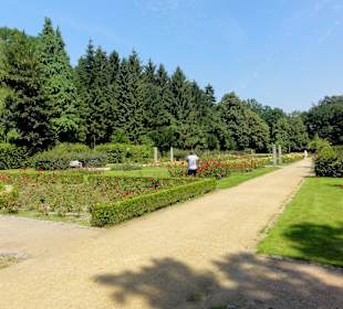 Spaziergang durch den Rosengarten
