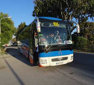 Sauberer gepflegter Bus von Tigaki Express