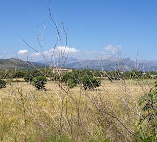 Wandern Alcudia