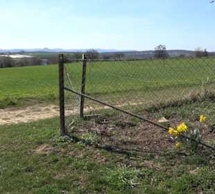 Premiumwanderweg "hochgeblickt"