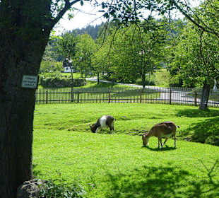 Kurpark