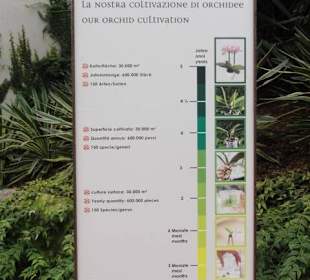 Raffeiner Orchideenwelt