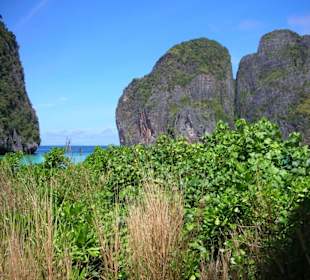 maya bay