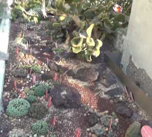 Real Jardín Botánico de Madrid