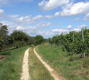 Hochgehnießen - Premiumspazierwanderweg