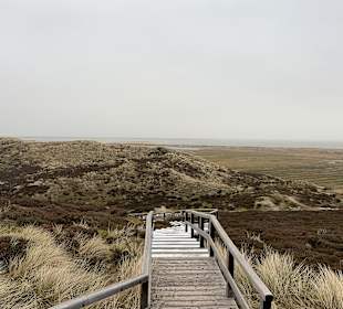 Wandern List auf Sylt