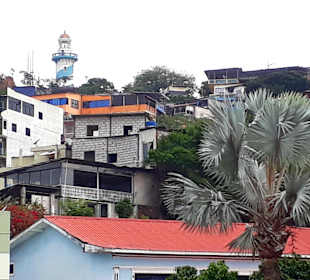 Stadtrundgang Guayaquil