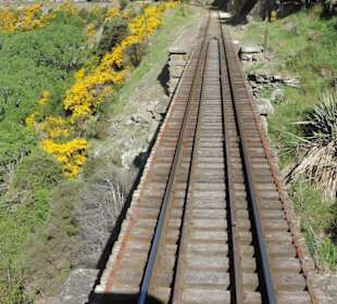 Mit der Taieri Railway durch die Natur Neuselands