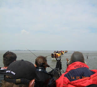 Gegenverkehr im Watt