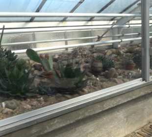Gewächshäuser Botanischer Garten
