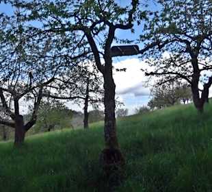 Naturerlebnisweg des NABU-Metzingen